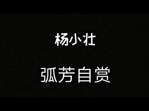 杨小状  孤芳自赏 （歌词）