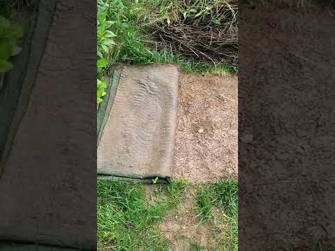 Video: Uciderea ierbii în mod natural: Cum să scapi de iarbă fără substanțe chimice