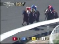 2011 Swaps Stakes