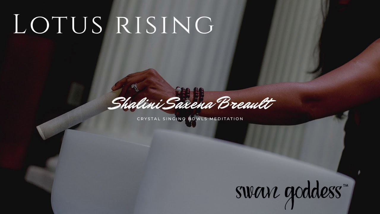 Lotus Rising YouTube