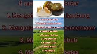 8 manfaat buah lontar untuk kesehatan