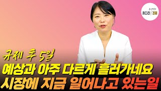 규제 후 5일, 지금 시장에서 일어나고 있는 일, 예상과 다르게 흘러가네요!