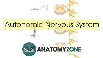 Autonomic Nervous System Introduction