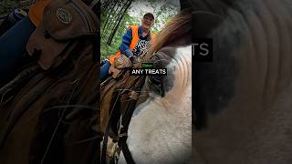 Biker Politely Gives Way to a Cowgirl on Horseback…