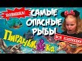 🐟 САМЫЕ ОПАСНЫЕ РЫБЫ!!! 🐟 Пираньи & Ко от ДеАгостини 🐟 ПОЛНАЯ КОЛЛЕКЦИЯ 🐟Распаковка НОВИНКИ 2018