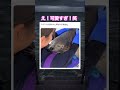 アザラシってこんなに人懐っこいんだ…！　#動物 #癒し #癒し動画 #可愛い #アザラシ