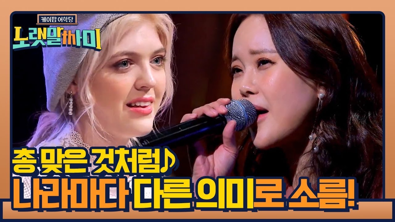 총 맞은 것처럼♪ 나라마다 다른 의미로 소름 쫙 ㅋㅋㅋ | 케이팝 어학당 - 노랫말싸미 kpopculturalcenter EP.1