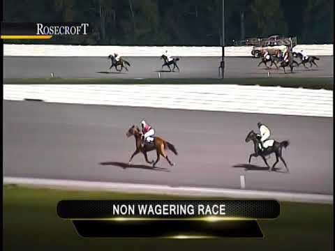 10 8 17 RUS at Rosecroft Raceway - YouTube