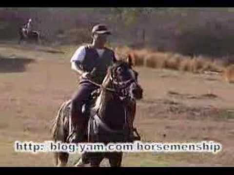 RIDING  HORSE IN  KENDING