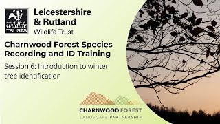 Charnwood Forest Species Recording and ID Training– Session 6: Winter trees