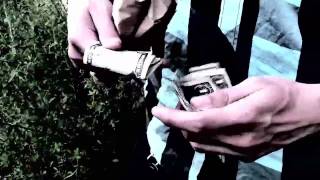 Download Lagu Reptilia Music Video MP3