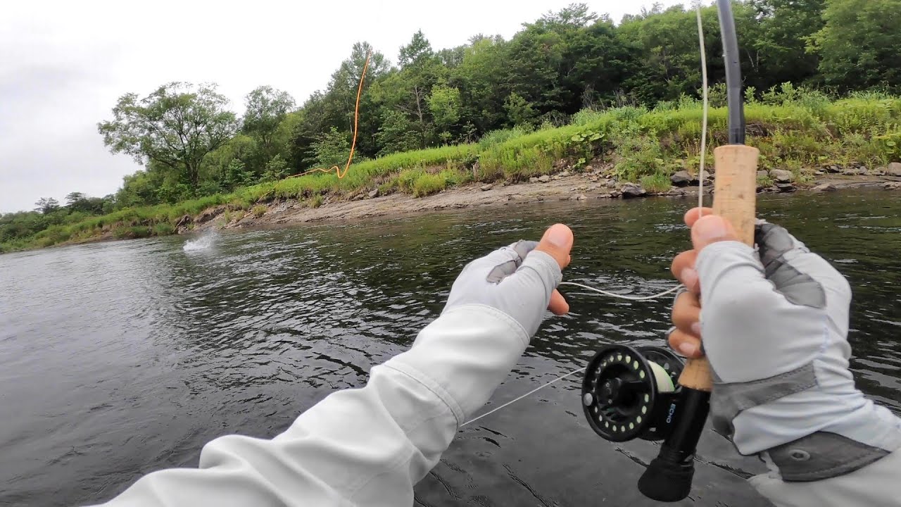22 07 24 道北の天塩川支流 22 07 24 道北の天塩川支流