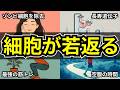【老化を止めろ】科学的に細胞レベルで若返る習慣１０選