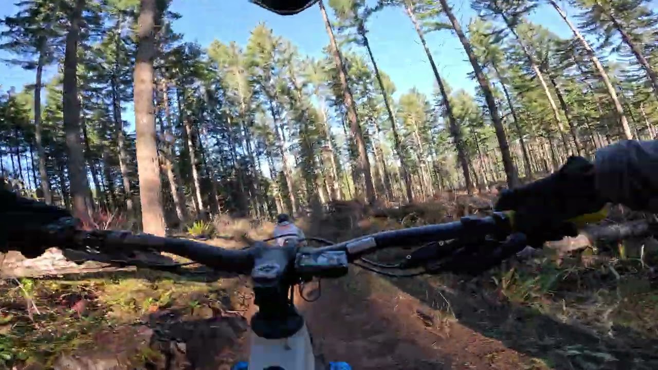 Cottage Grove MTB 1/17/26