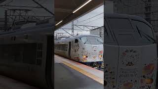 京都駅4線並走#kyoto #train #jr西日本