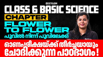 Class 6 Basic Science | Chapter: Flower to Flower / പൂവിൽ നിന്ന് പൂവിലേക് | Onam Exam 2024 | Class 6