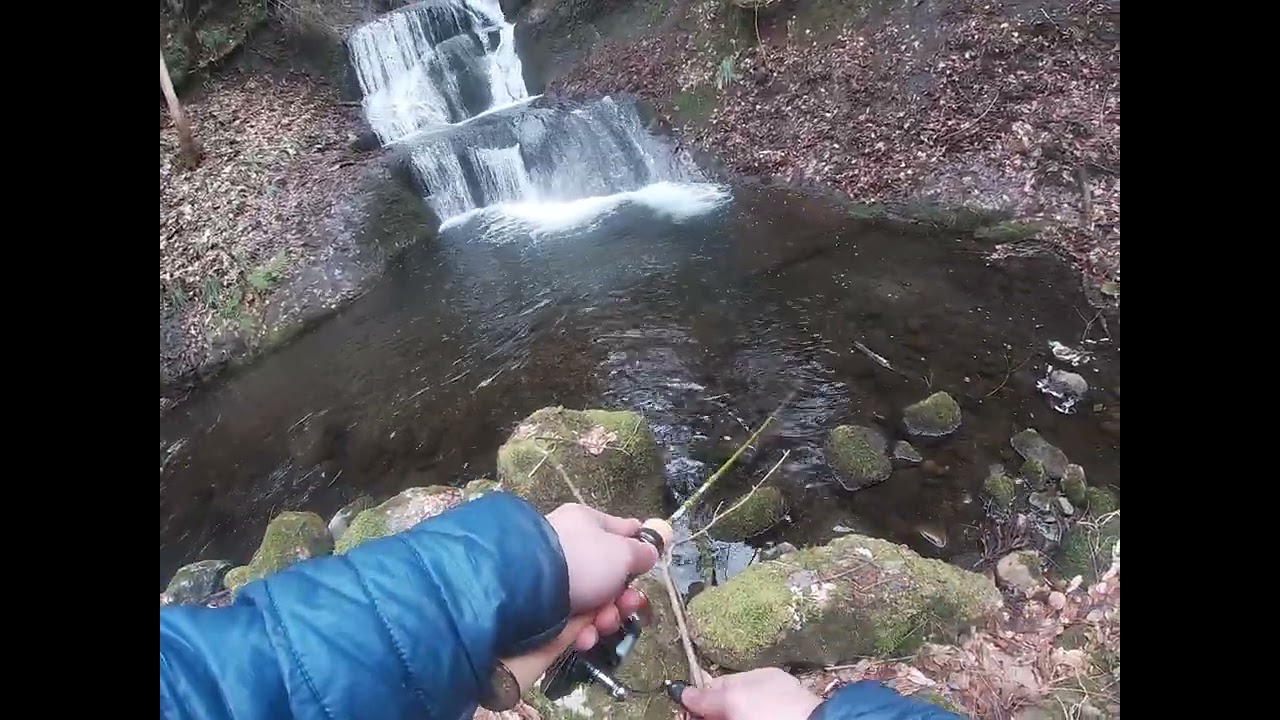 【岩手渓流解禁】2日連続で同じ場所でルアー釣りしたら