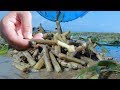 Yummy Razor Clam Cooking - Catching And Cooking Razor Clam At Ocean Shore - Cooking With Sros