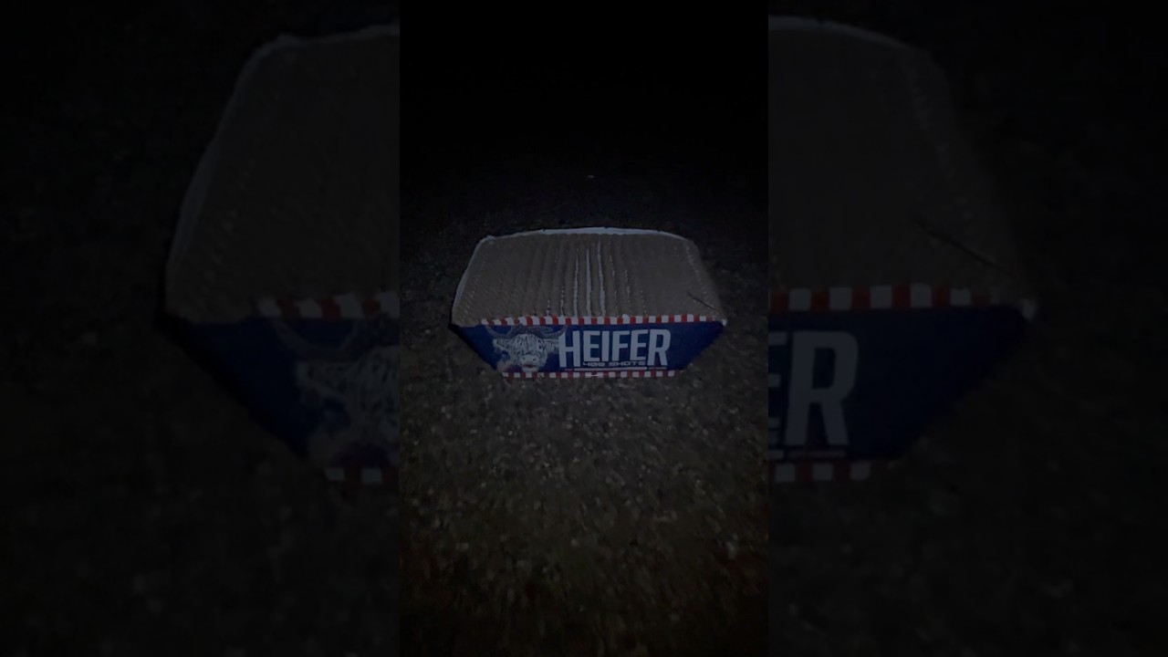 HEIFER 400 SHOT FIREWORK #Shorts #Fireworks