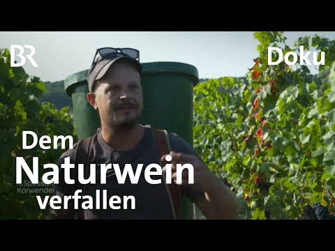 Video: Wie Man Naturwein Unterscheidet