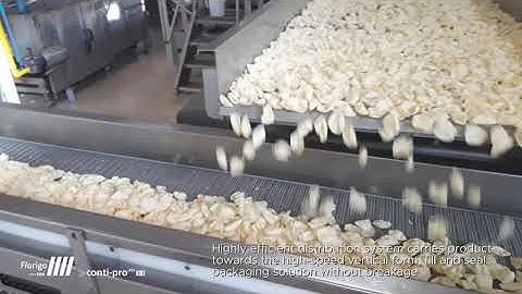 Florigo (by tna) atmospheric continuous pellet frying and distribution system