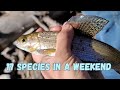 Multispecies fishing in utah 30hours of fishing