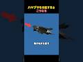 ハヤブサを奇襲するとこうなる