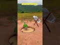 “Secret Parrot Trapping Technique” #funny #parrot #trap #parrot #shorts