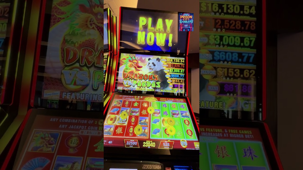 Dragon vs Panda 🐼🎰🐉