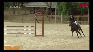 20181004 TBF 60cm Mercan Moli Ver 1 3