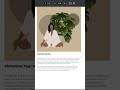 Generate PDFs in Divi Theme with Ease! 🚀 | WordPress PDF Generator for Divi #elegantthemes