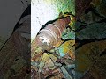 Luftschutz - Führerbaumprogramm Untertage. WW2. Ein Stollen der besonderen Art