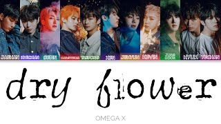 Watch Omega X Dry Flower video