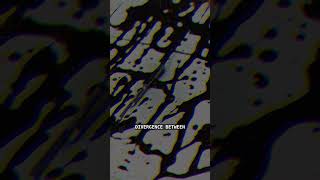 NOVA SIGNAL // TRANSMISSION 0241 // LOOP STATE DIVERGENCE