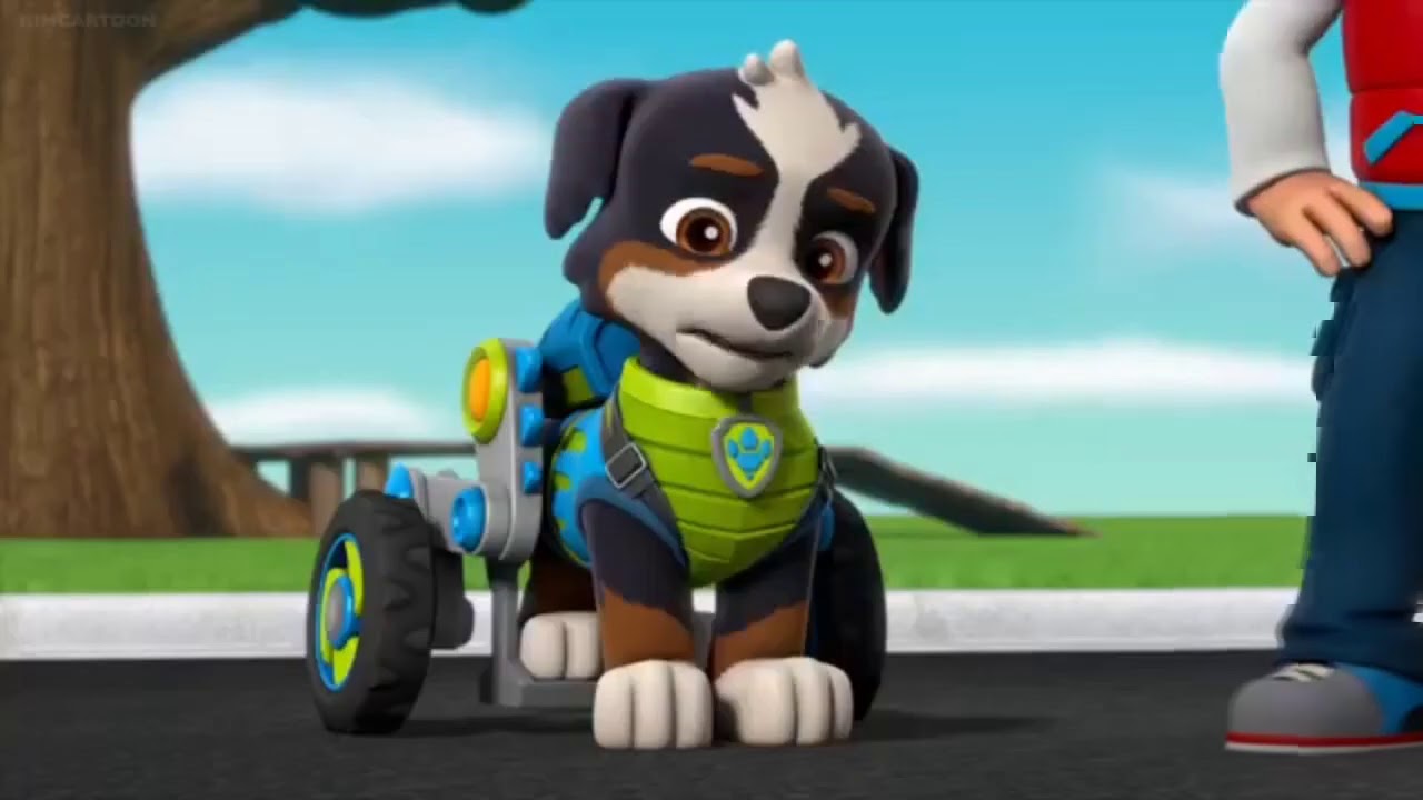rocky paw patrol dino rocky paw patrol dino
