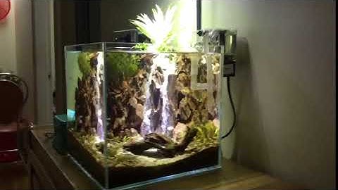 Thác cát thủy sinh trong bể thủy sinh cubic 25