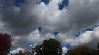 Cumulus and cumulus congestus