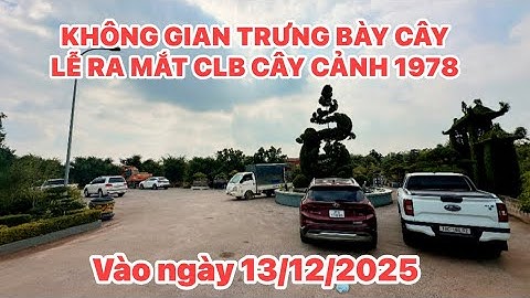 KHÔNG GIAN TRƯNG BÀY CÂY CẢNH LỄ RA MẮT CLB CÂY CẢNH 1978 ( vào ngày 13/12/2025 xắp tới )