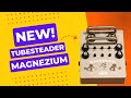 Tubesteader Magnezium: Rev. Gibbons' Favourite Amp In A Box! - YouTube
