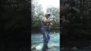 горная форель