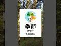 The 4 Seasons in Japanese 🇯🇵 Spring, Summer, Autumn, Winter | Easy Lesson