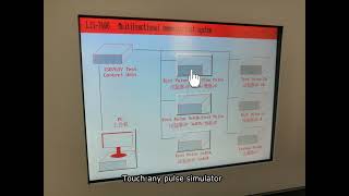 Multifunctional Immunity Testing System for Automotive Electronics: ISO16750-2 - LISUN