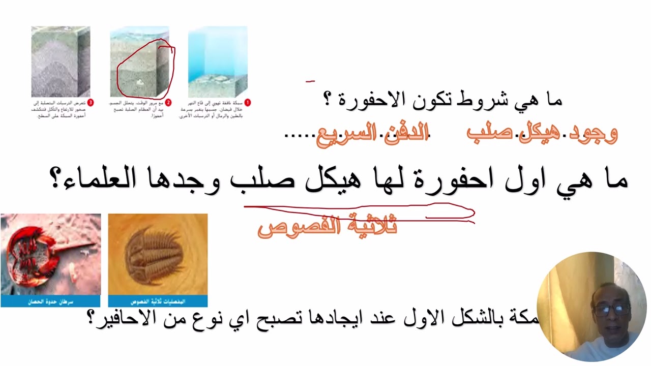 مراجعة هيكل علوم الصف الثامن الفصل الثالث