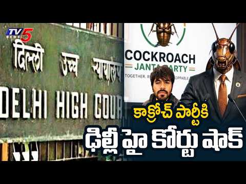 కాక్రోచ్ పార్టీకి షాక్ ! Delhi High Court Gives Shock to Cockroach Janata Party | TV5 News - TV5NEWS
