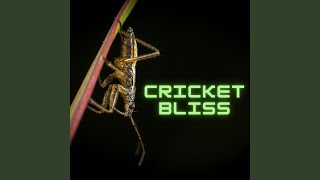 Serene Cricket Medley: Harmonic Serenade