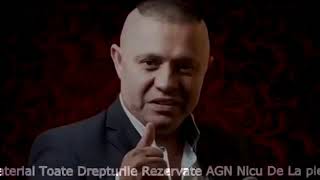 Nicolae Guta - Nebunia Banului Ia Mintile Omului (oficial audio)