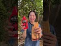 Eat bread with chili sauce #bushcraft #survival #camping #shorts