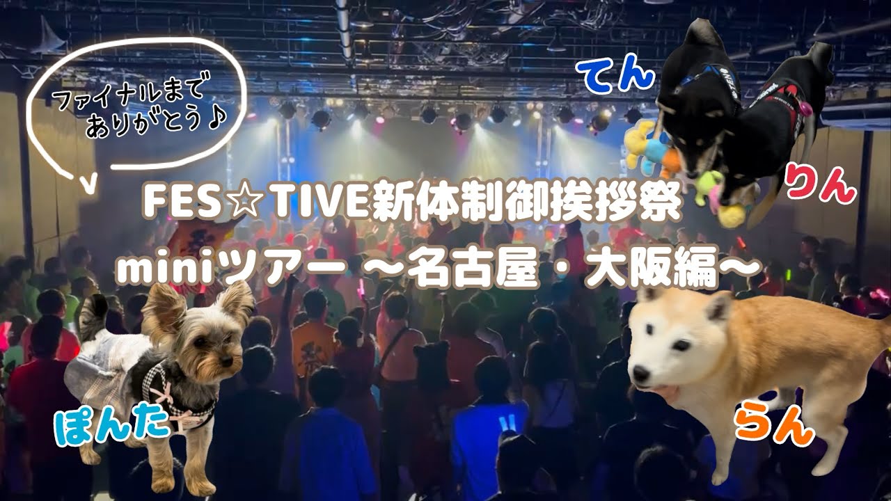 【Vlog】わんこと一緒に名古屋・大阪旅❕🐶￤ FES☆TIVE 新体制御挨拶祭ツアー 名古屋🏯大阪編🐙