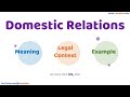 Domestic Relations Meaning Legal Context & Example Legal Terms Simplified @LawMint