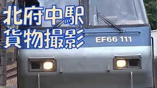 北府中駅で貨物列車を撮影(EF66 111、EH500-52、EH200-12、EF210-342)